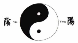 Yin-Yang-Symbol-e1415056676586.jpg